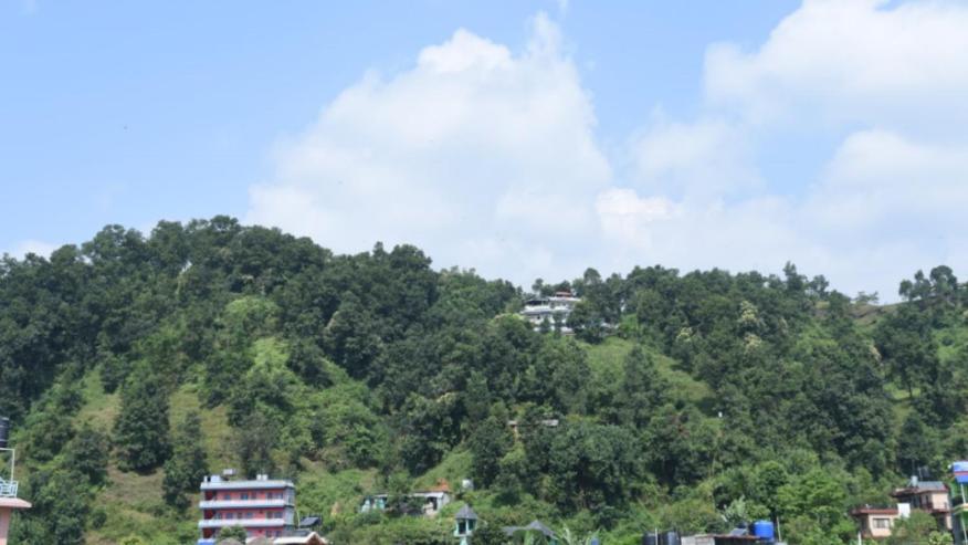 Hotel Green Hill View Pokhara Esterno foto